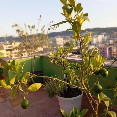 Sunset View Apartment